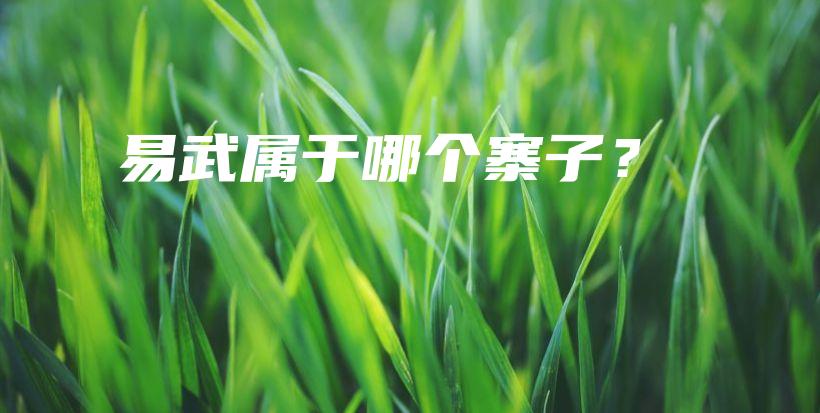 易武屬于哪個(gè)寨子？插圖