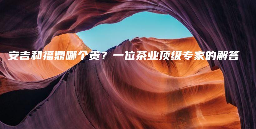 安吉和福鼎哪個貴？一位茶業(yè)頂級專家的解答插圖