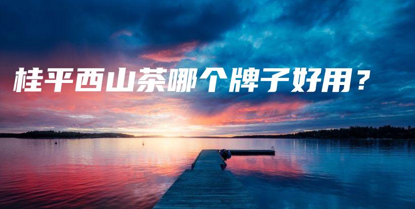 桂平西山茶哪個牌子好用？插圖