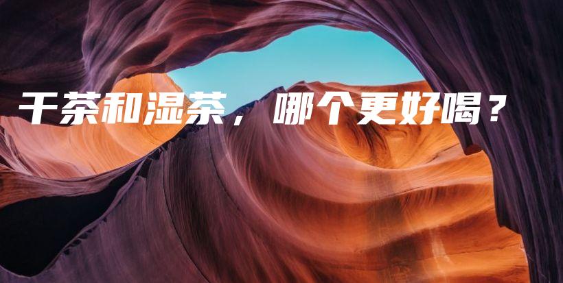 干茶和濕茶，哪個更好喝？插圖