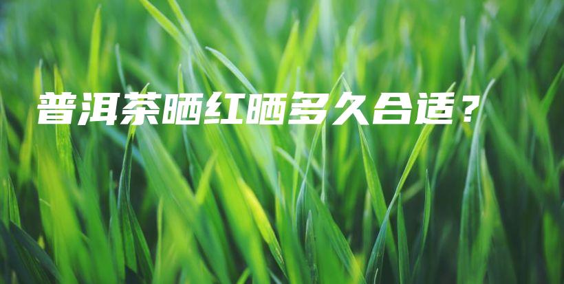 普洱茶曬紅曬多久合適？插圖