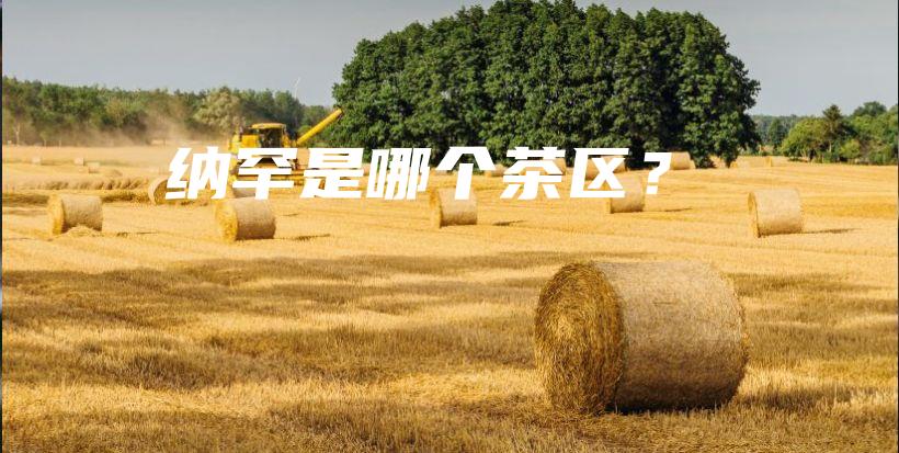 納罕是哪個(gè)茶區(qū)？插圖
