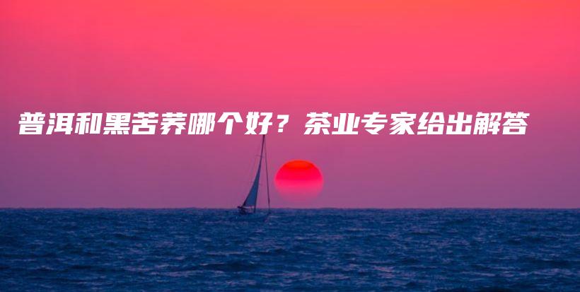 普洱和黑苦蕎哪個好？茶業(yè)專家給出解答插圖