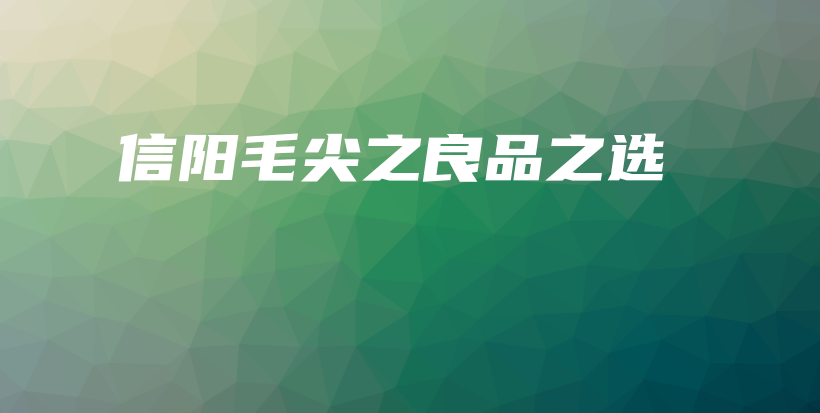 信陽毛尖之良品之選插圖