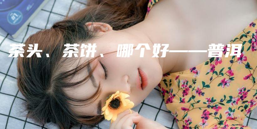 茶頭、茶餅、哪個好——普洱插圖