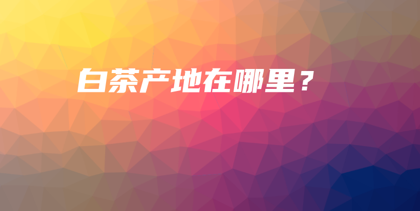 白茶產(chǎn)地在哪里？插圖