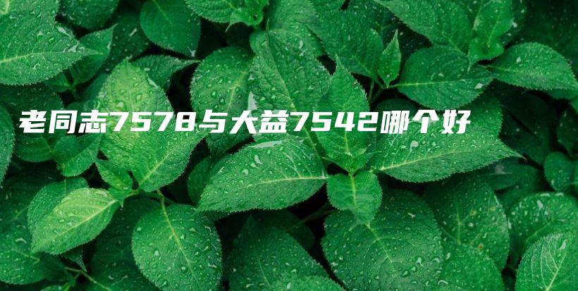 老同志7578與大益7542哪個好插圖