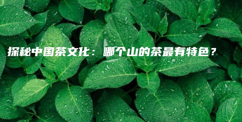 探秘中國茶文化：哪個山的茶最有特色？插圖