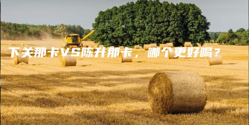 下關(guān)那卡VS陳升那卡，哪個(gè)更好喝？插圖