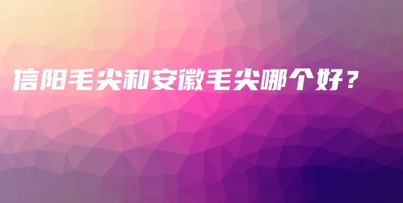 信陽毛尖和安徽毛尖哪個(gè)好？插圖