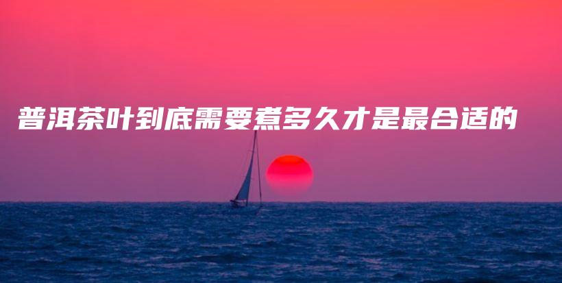 普洱茶葉到底需要煮多久才是最合適的插圖