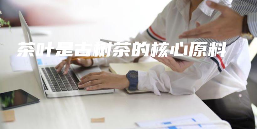 茶葉是古樹茶的核心原料插圖