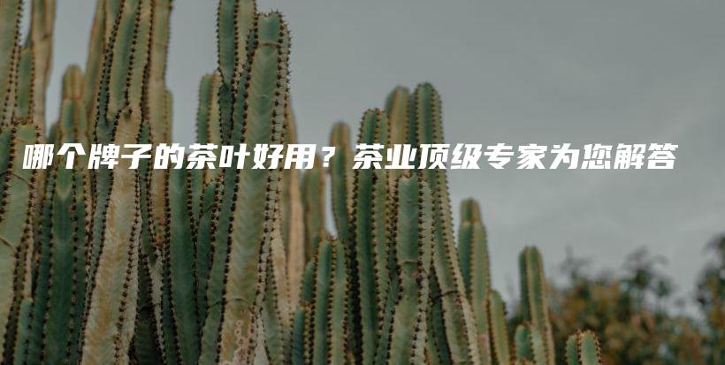 哪個牌子的茶葉好用？茶業(yè)頂級專家為您解答插圖