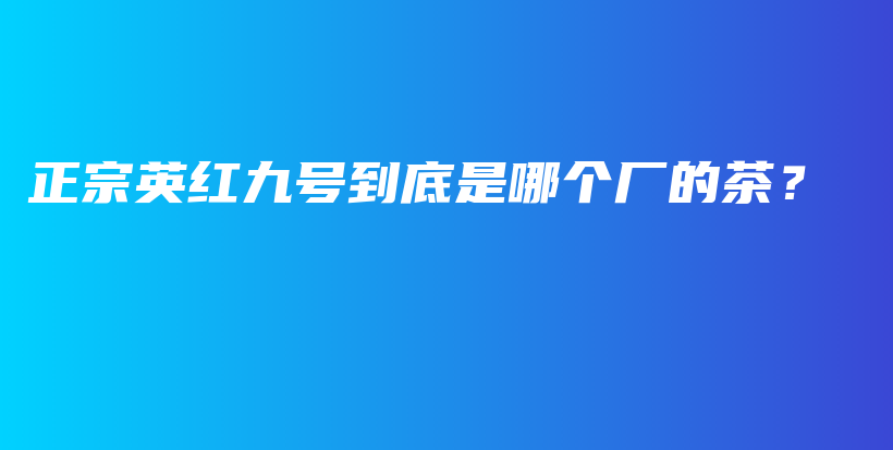 正宗英紅九號到底是哪個廠的茶？插圖