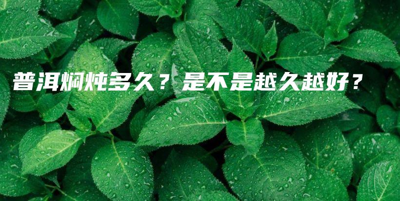 普洱燜燉多久？是不是越久越好？插圖