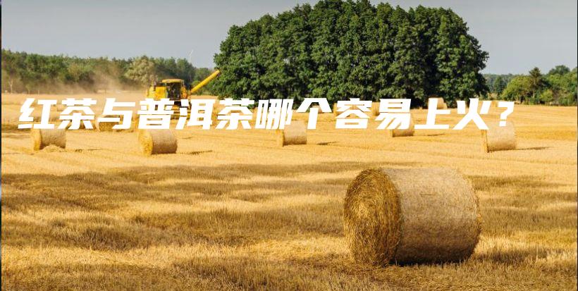 紅茶與普洱茶哪個(gè)容易上火？插圖