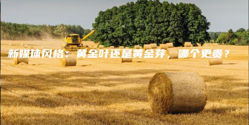 新媒體風(fēng)格：黃金葉還是黃金芽，哪個(gè)更貴？插圖