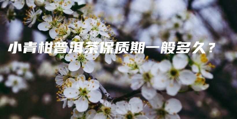 小青柑普洱茶保質(zhì)期一般多久？插圖