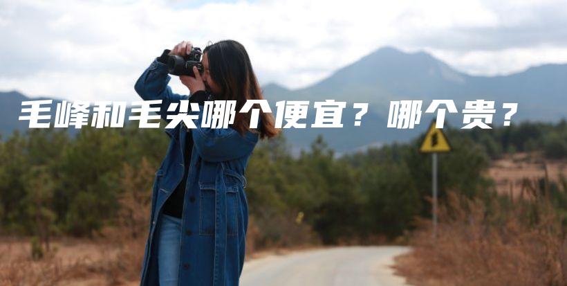 毛峰和毛尖哪個便宜？哪個貴？插圖