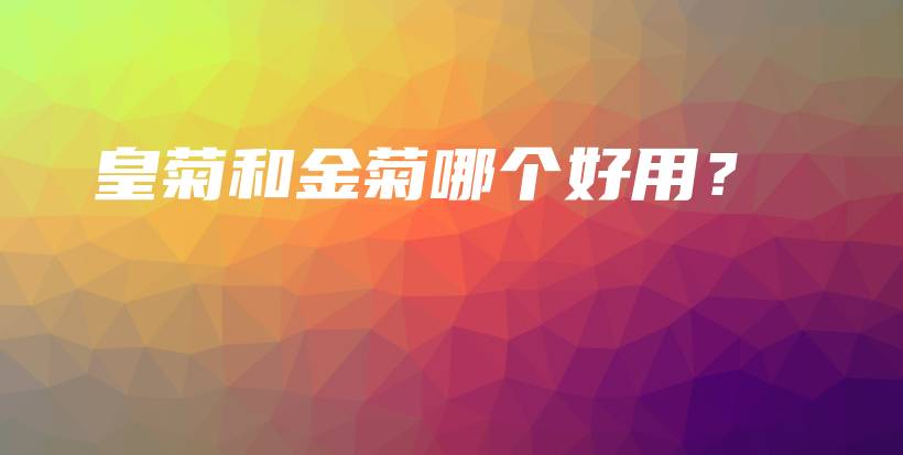 皇菊和金菊哪個(gè)好用？插圖