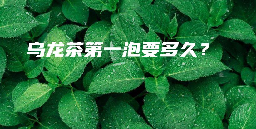烏龍茶第一泡要多久？插圖