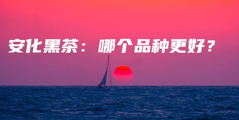 安化黑茶：哪個品種更好？插圖