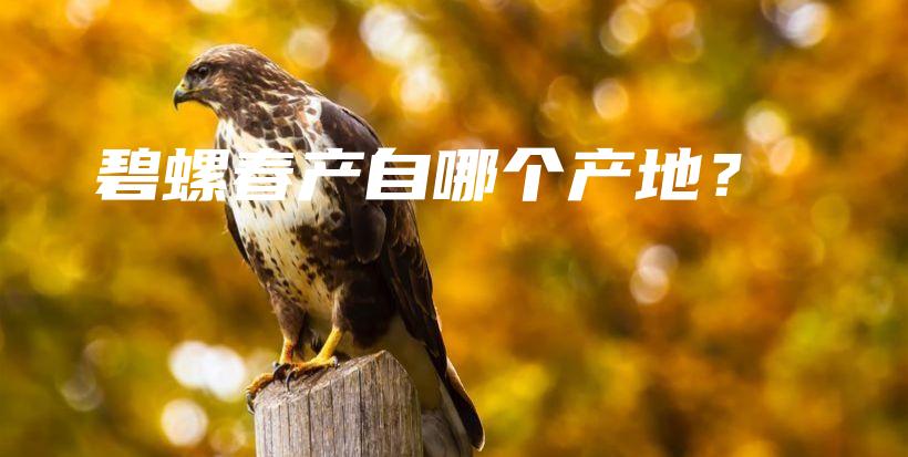 碧螺春產(chǎn)自哪個產(chǎn)地？插圖