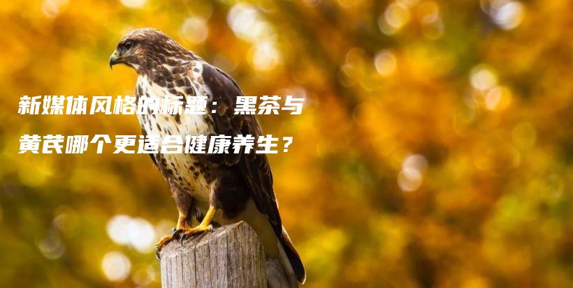 新媒體風(fēng)格的標(biāo)題：黑茶與黃芪哪個更適合健康養(yǎng)生？插圖