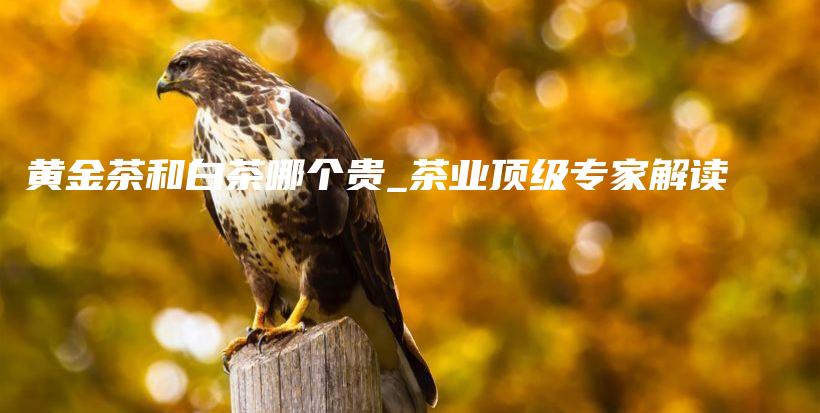 黃金茶和白茶哪個(gè)貴_茶業(yè)頂級(jí)專家解讀插圖