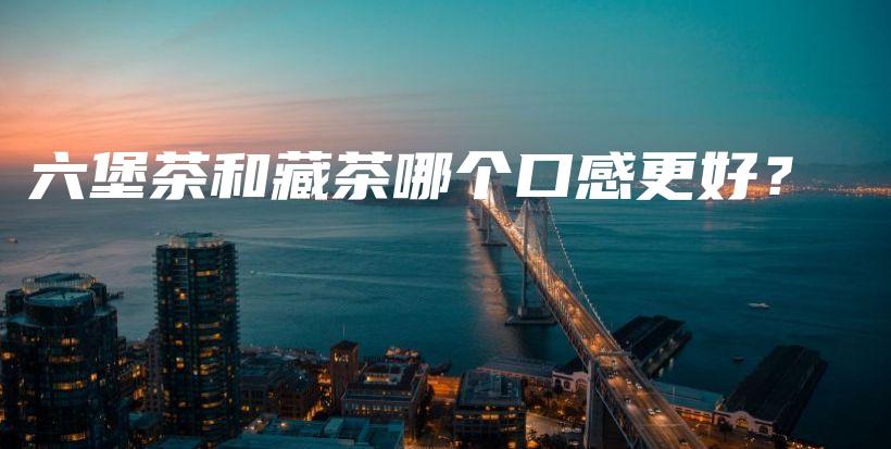 六堡茶和藏茶哪個(gè)口感更好？插圖