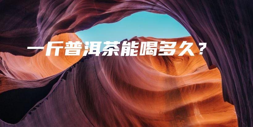 一斤普洱茶能喝多久？插圖