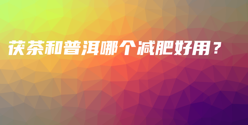 茯茶和普洱哪個減肥好用？插圖