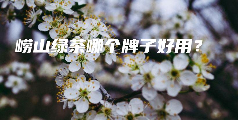 嶗山綠茶哪個牌子好用？插圖