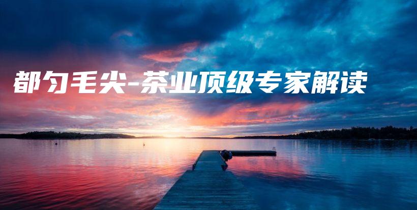 都勻毛尖-茶業(yè)頂級專家解讀插圖