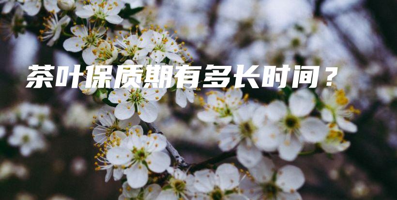 茶葉保質(zhì)期有多長(zhǎng)時(shí)間？插圖