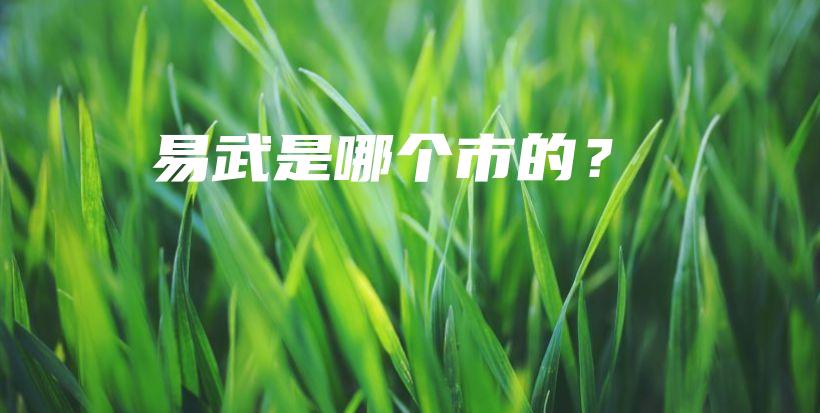 易武是哪個(gè)市的？插圖