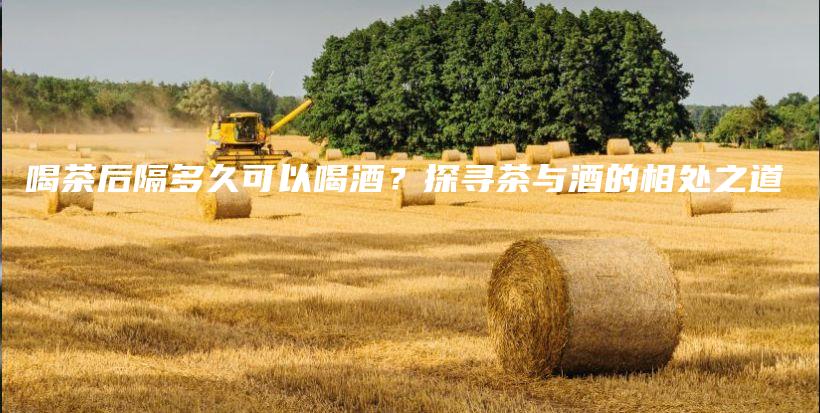 喝茶后隔多久可以喝酒？探尋茶與酒的相處之道插圖