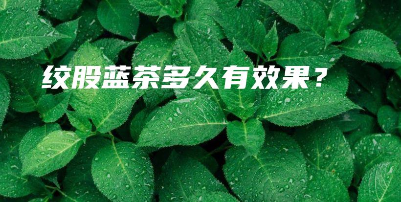 絞股藍茶多久有效果？插圖