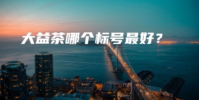 大益茶哪個標(biāo)號最好？插圖
