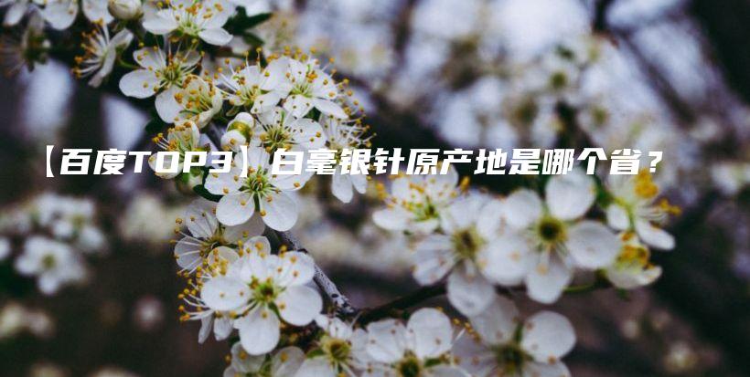 【百度TOP3】白毫銀針原產(chǎn)地是哪個(gè)??？插圖