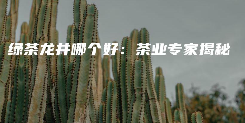 綠茶龍井哪個(gè)好：茶業(yè)專家揭秘插圖