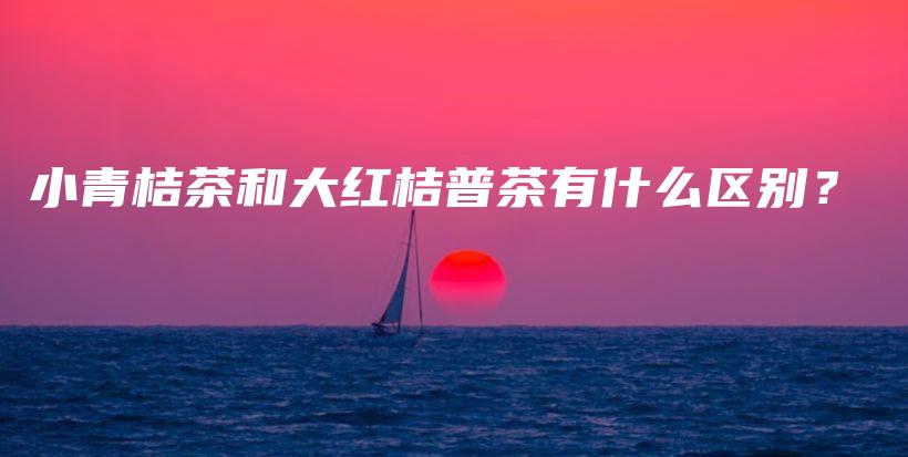 小青桔茶和大紅桔普茶有什么區(qū)別？插圖