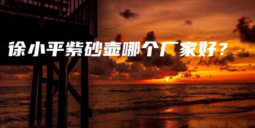 徐小平紫砂壺哪個(gè)廠家好？插圖