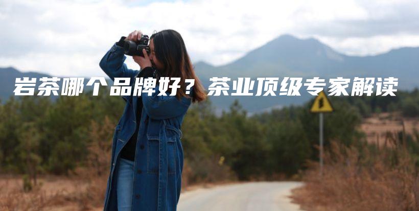 巖茶哪個品牌好？茶業(yè)頂級專家解讀插圖