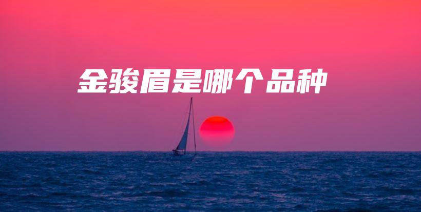 金駿眉是哪個品種插圖