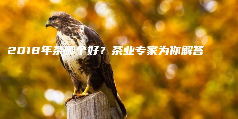2018年茶哪個(gè)好？茶業(yè)專家為你解答插圖