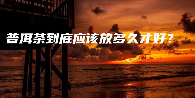 普洱茶到底應(yīng)該放多久才好？插圖