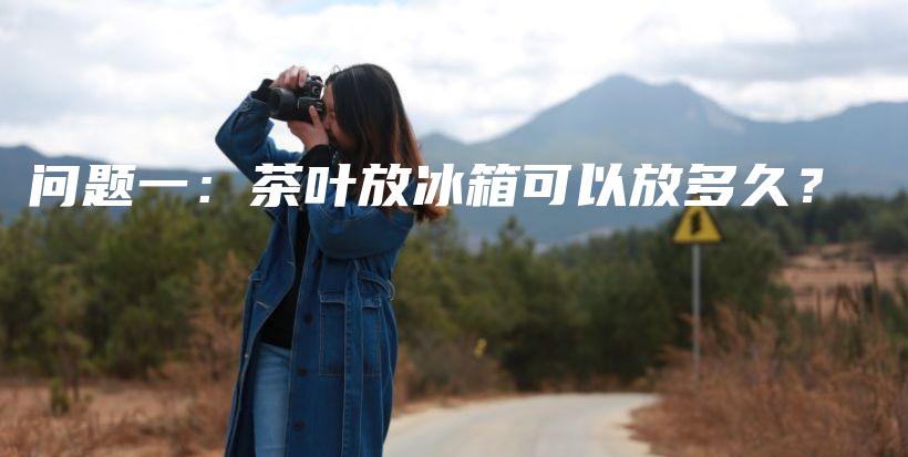 問題一：茶葉放冰箱可以放多久？插圖