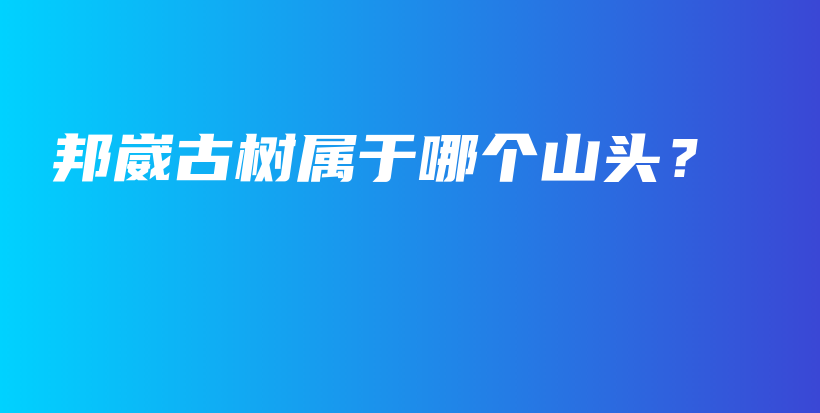 邦崴古樹屬于哪個山頭？插圖