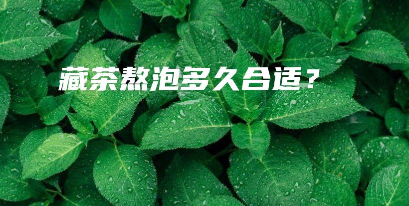 藏茶熬泡多久合適？插圖